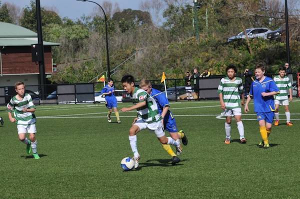 20150801_124632-600x398