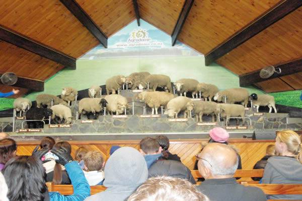 483954_340400009373488_32538657_n