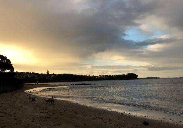 FullSizeRender-1-600x419