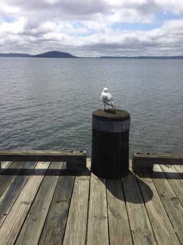 image-4-e1445290472752-375x500