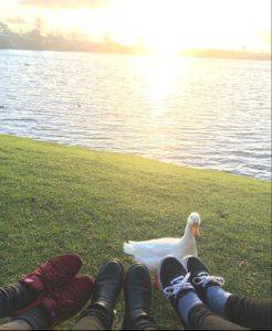 自分自身と向き合えたNZでの生活