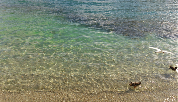 screenshotshare_20160127_095319-600x343