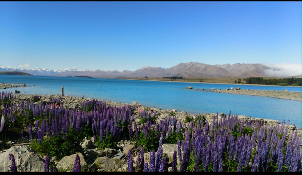 screenshotshare_20160127_095647-600x347