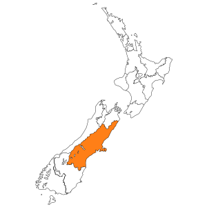 Christchurch☆お勧めのお店4選！